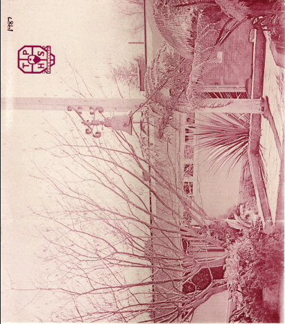 TPHS Magazine 1987 cover